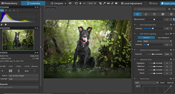 Screenshot of Dxo PhotoLab 4 photo editing software's UX interface while editing an image